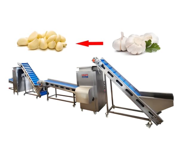 Peladora de Ajos Industrial Precio