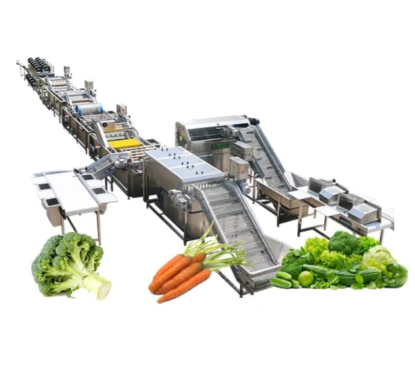 Procesamiento de frutas y verduras a nivel industrial