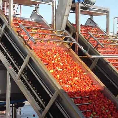 Lavadora de tomates industrial Lavadora de tomates industrial